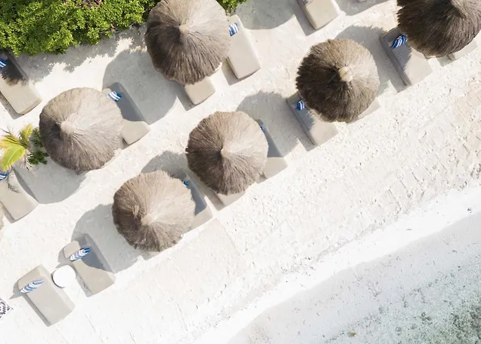 Beachfront Bliss *